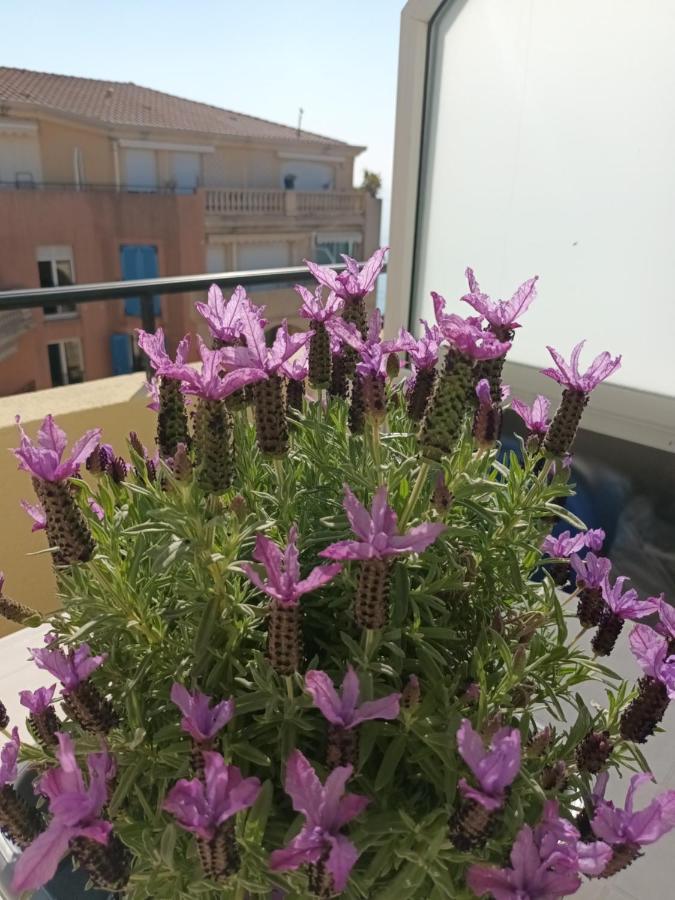 Attico Victoria Palace Suggestivo E Spettacolare Menton Bagian luar foto